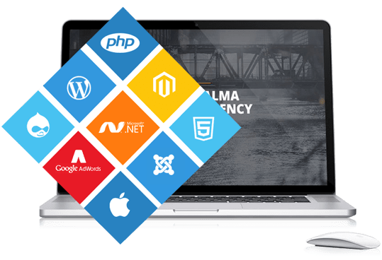 Website Development Company in Delhi